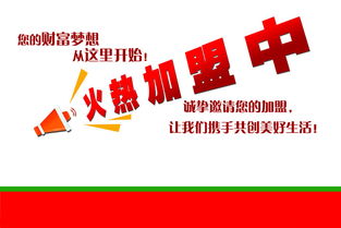 抢占山城市场新机遇 重庆瓷砖招商加盟与品牌代理全攻略